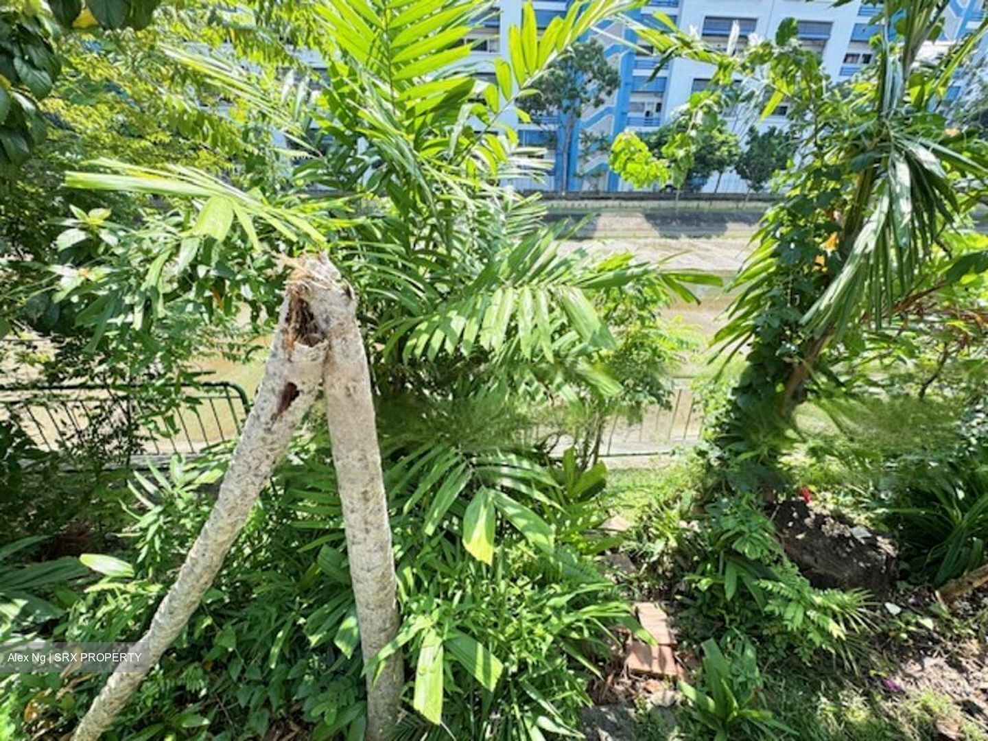 Picardy Gardens (D16), Semi-Detached #460925881